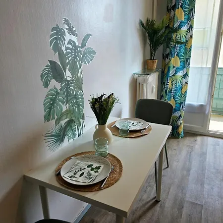 Apartman Jungle Avec Balcon Agen