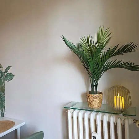 Jungle Avec Balcon Apartman Agen
